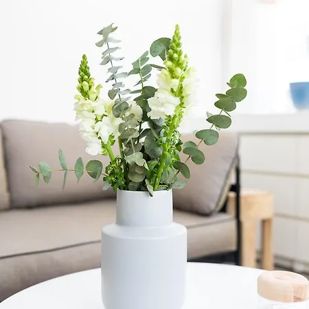 Ferien Domizil 25 Apartment